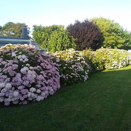 La Aux Hortensias - Cosy Proche - Saint-aubin-sur-mer Guest house